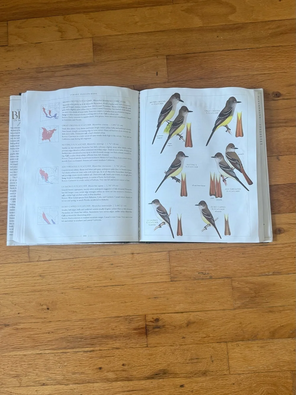 National Geographic Illustrated Birds of North America (Folio Edition)
